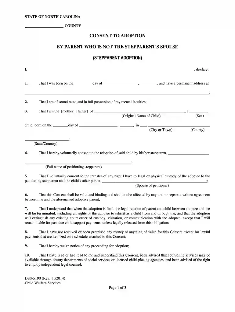 DSS-5190 - NC DHHS Online Publications - Home - info dhhs state nc Preview on Page 1