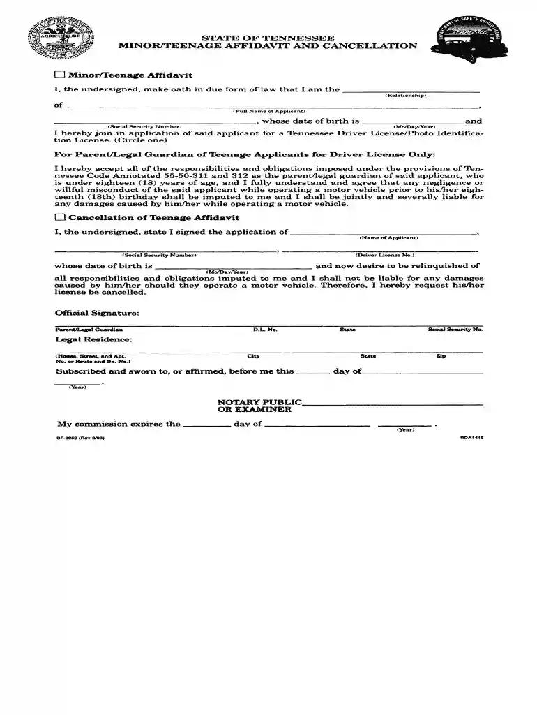 teenage affidavit financial responsibility Preview on Page 1