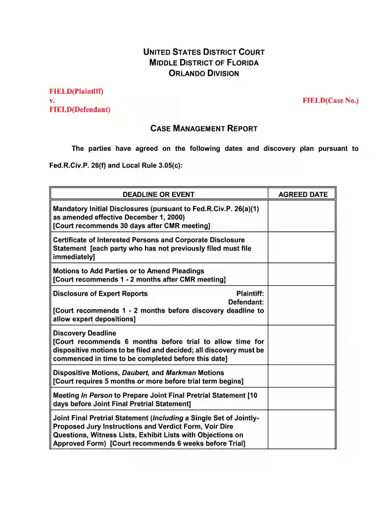 case management report template Preview on Page 1