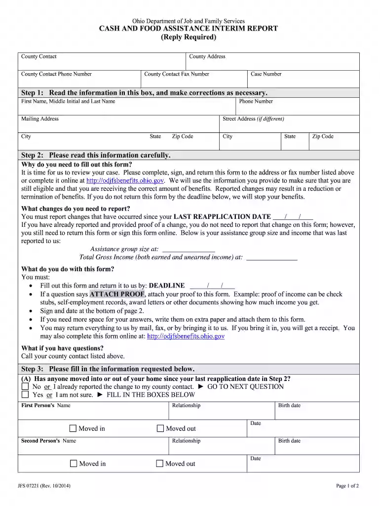ohio snap interim report online Preview on Page 1