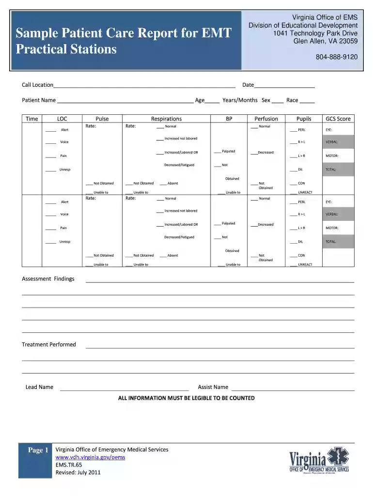 patient care report template word Preview on Page 1