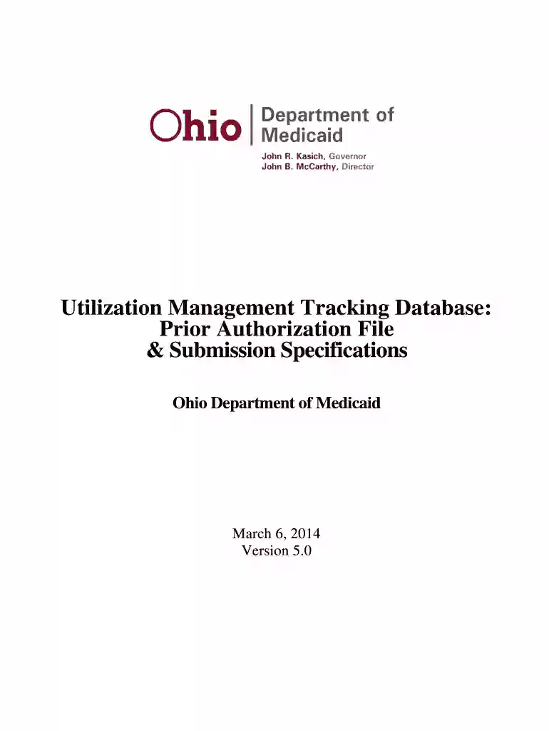 Prior Authorization File amp Submission Specifications Preview on Page 1