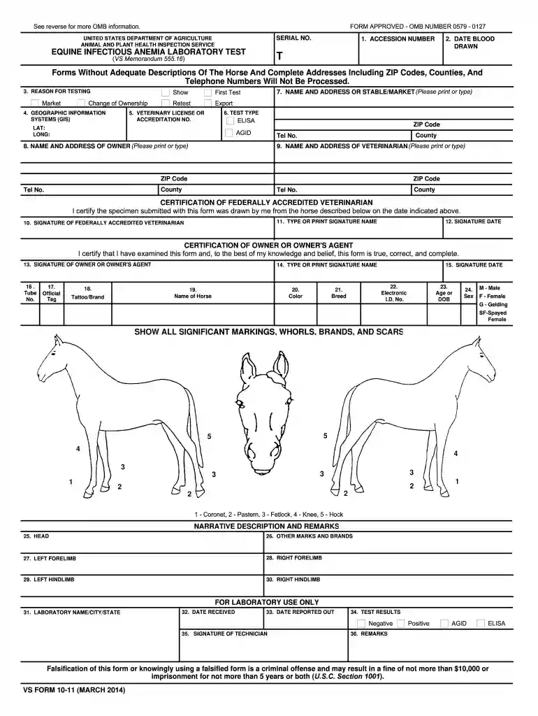 blank coggins form Preview on Page 1