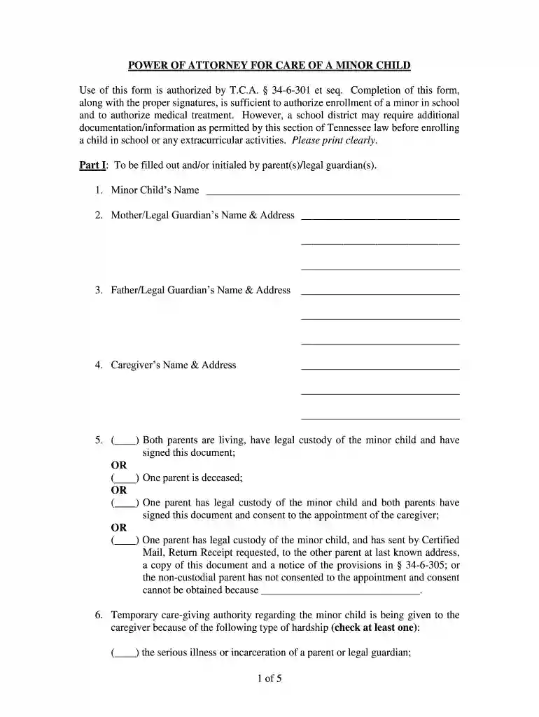 minor child form Preview on Page 1