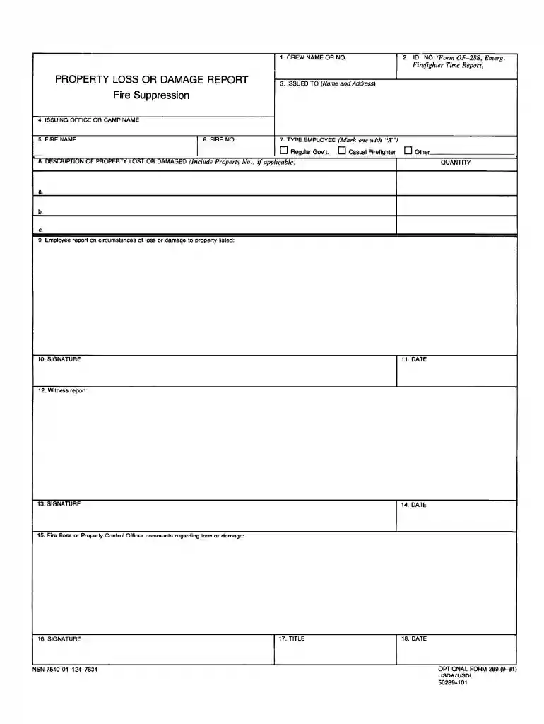 damage report pdf Preview on Page 1