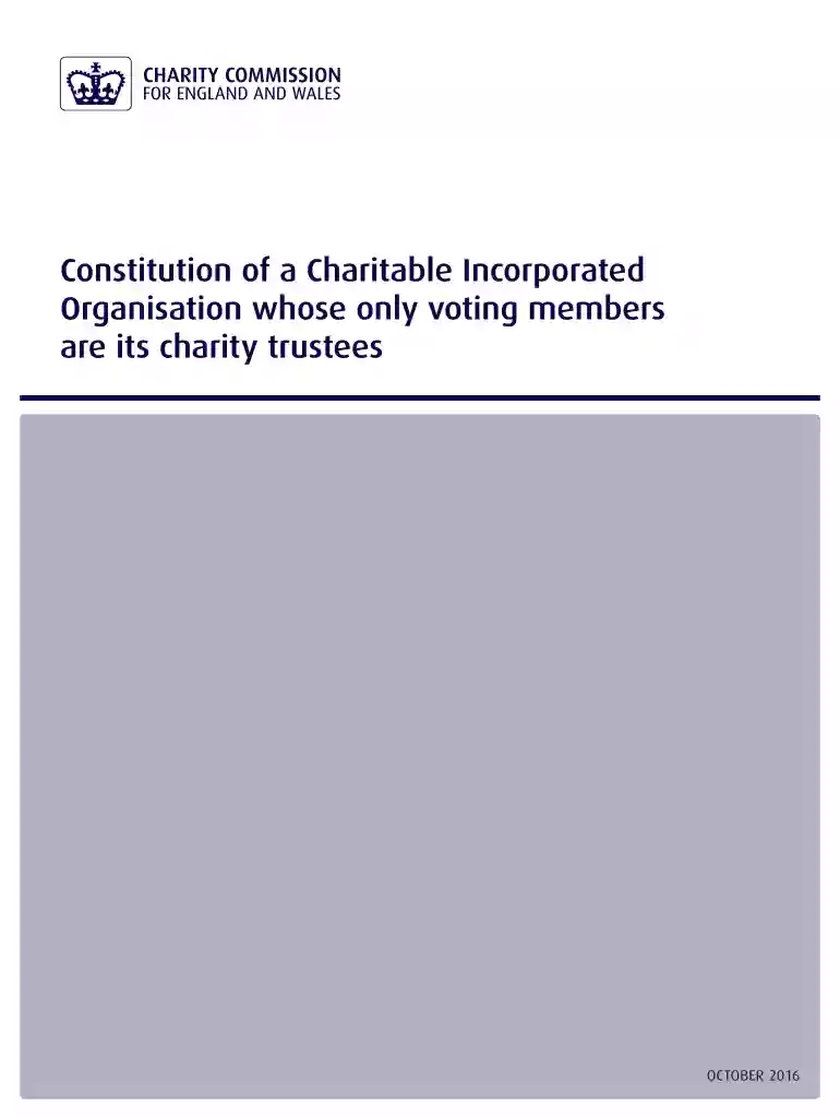 charitable constitution Preview on Page 1