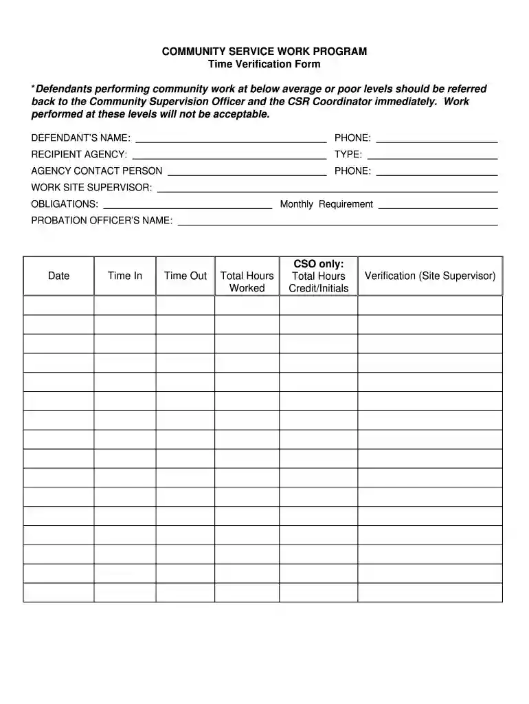 collin county community service sheet Preview on Page 1