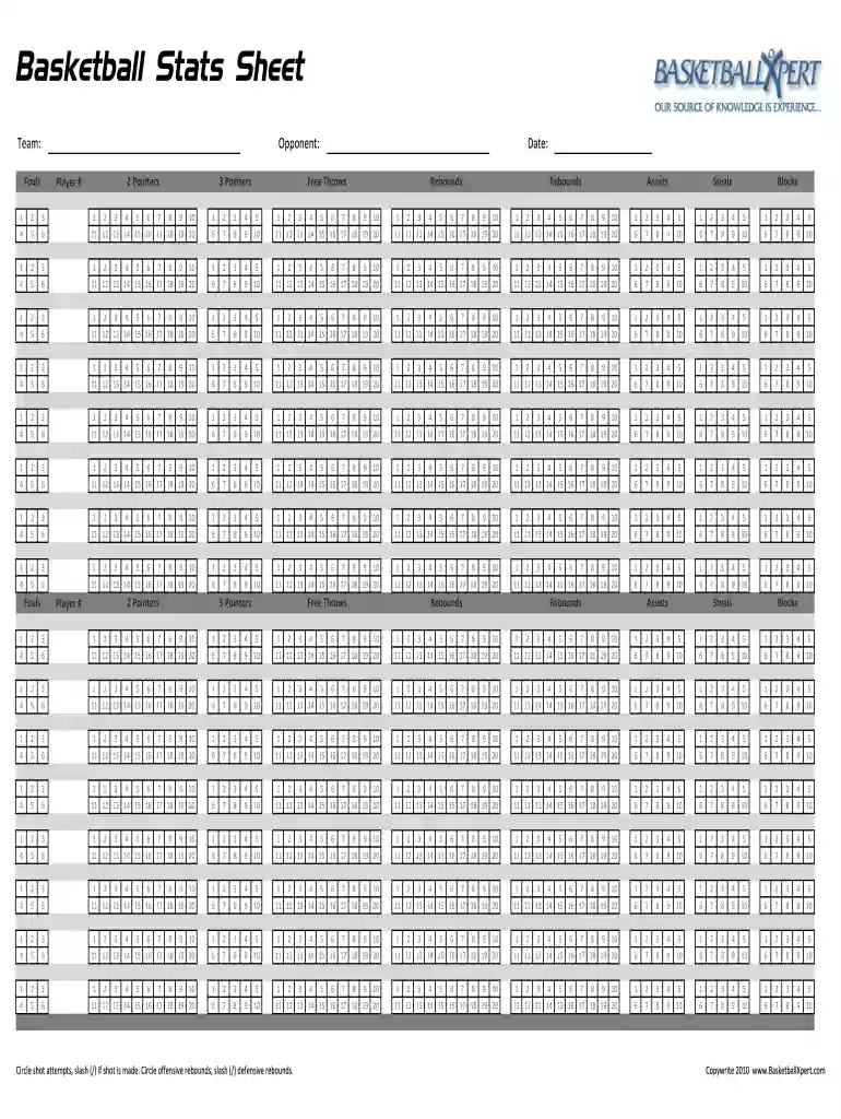 simple basketball stat sheet Preview on Page 1