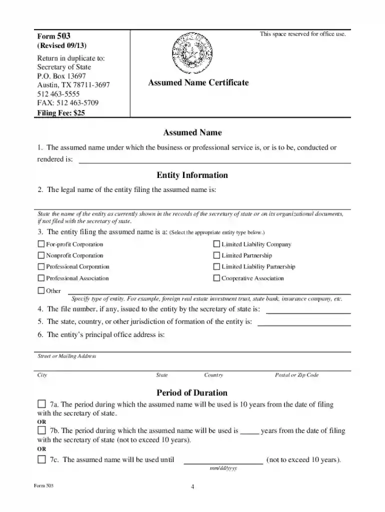 how to file form 503 on sosdirect Preview on Page 1