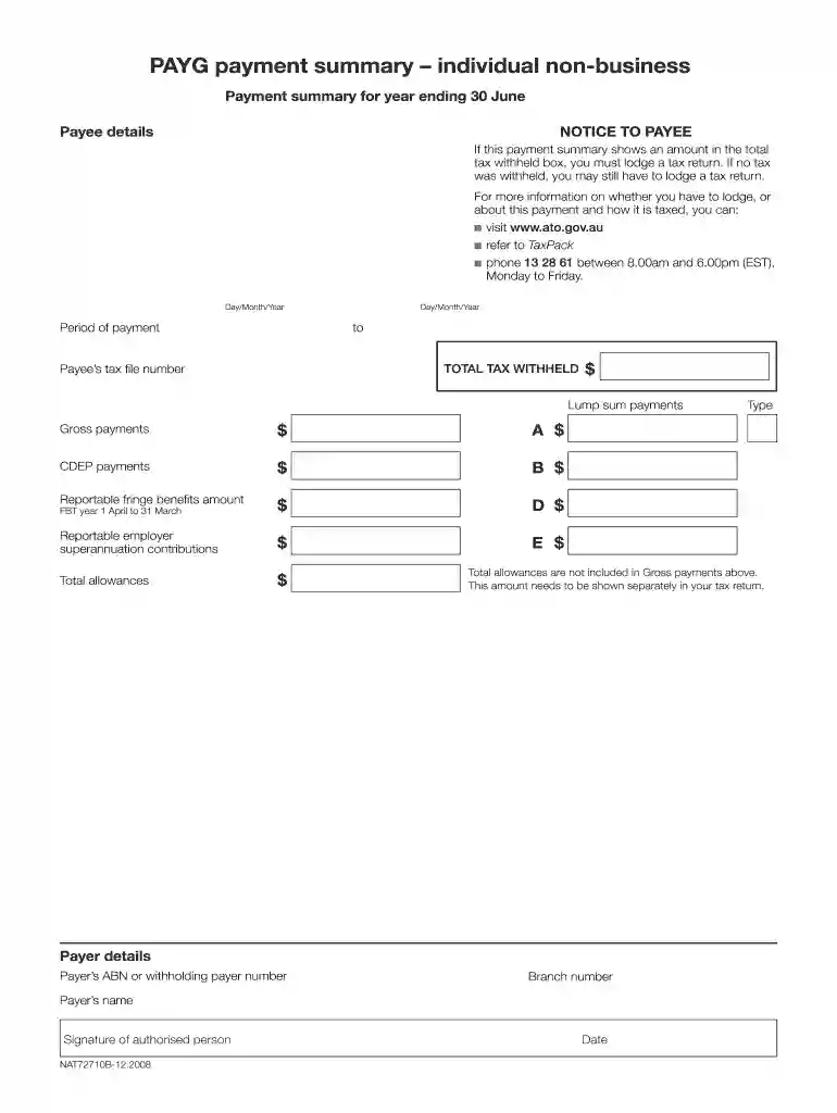 payg summary example Preview on Page 1