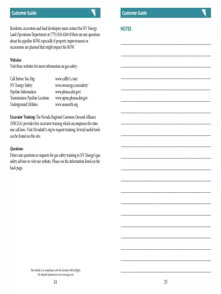 nv energy bill template Preview on Page 1