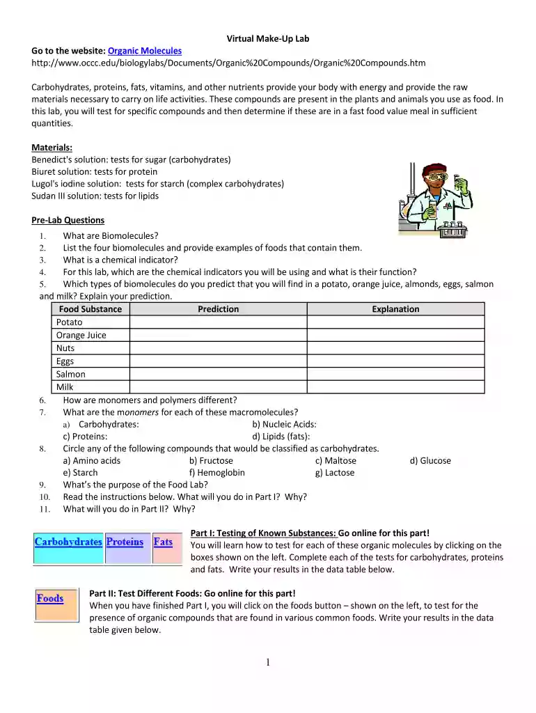 a plants raw materials answer key Preview on Page 1