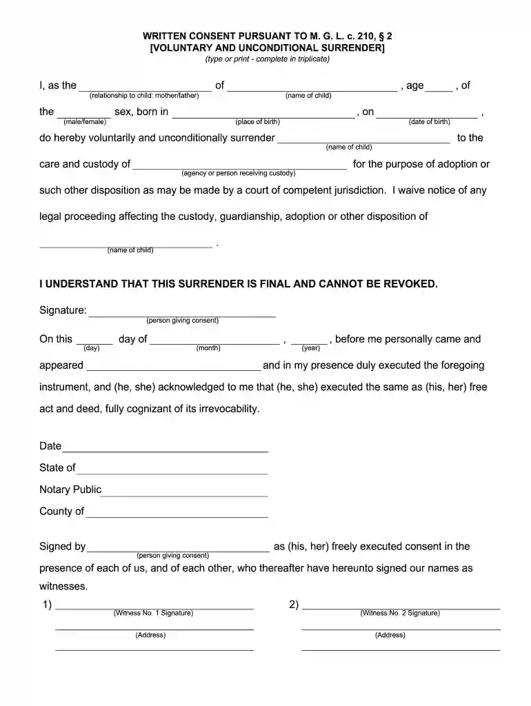 ma surrender Preview on Page 1