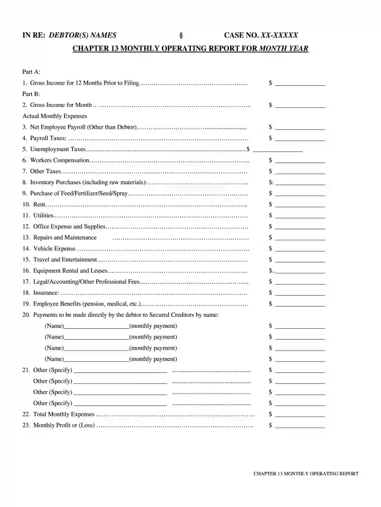 chapter 13 monthly business report Preview on Page 1