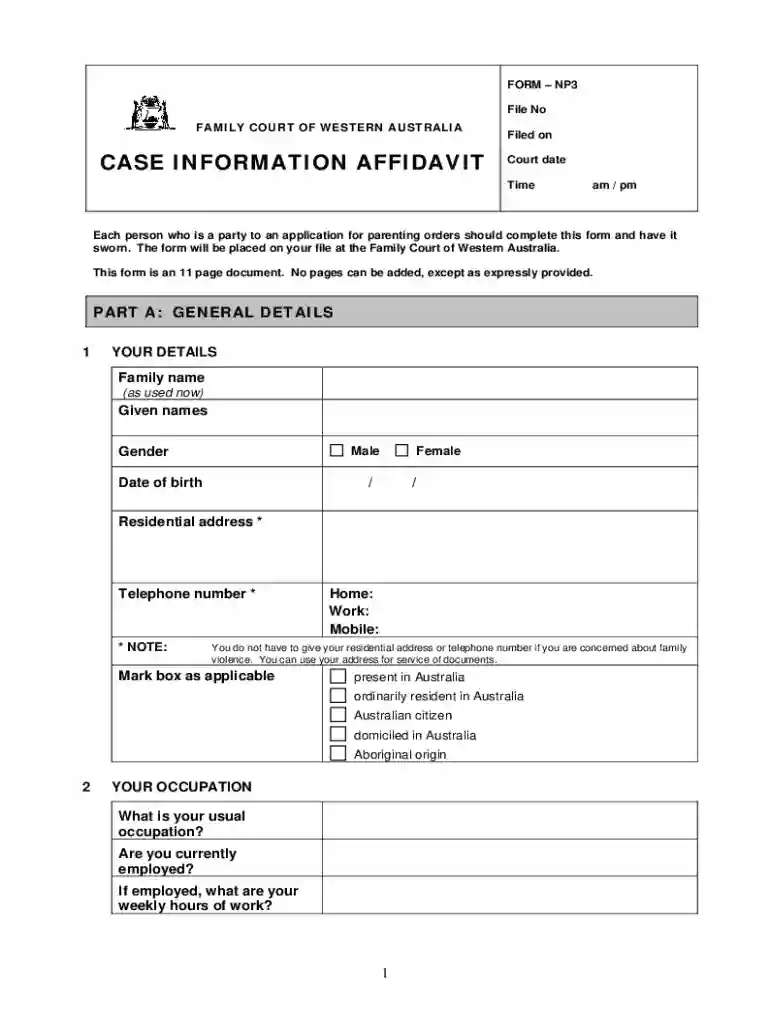 family court case information affidavit Preview on Page 1