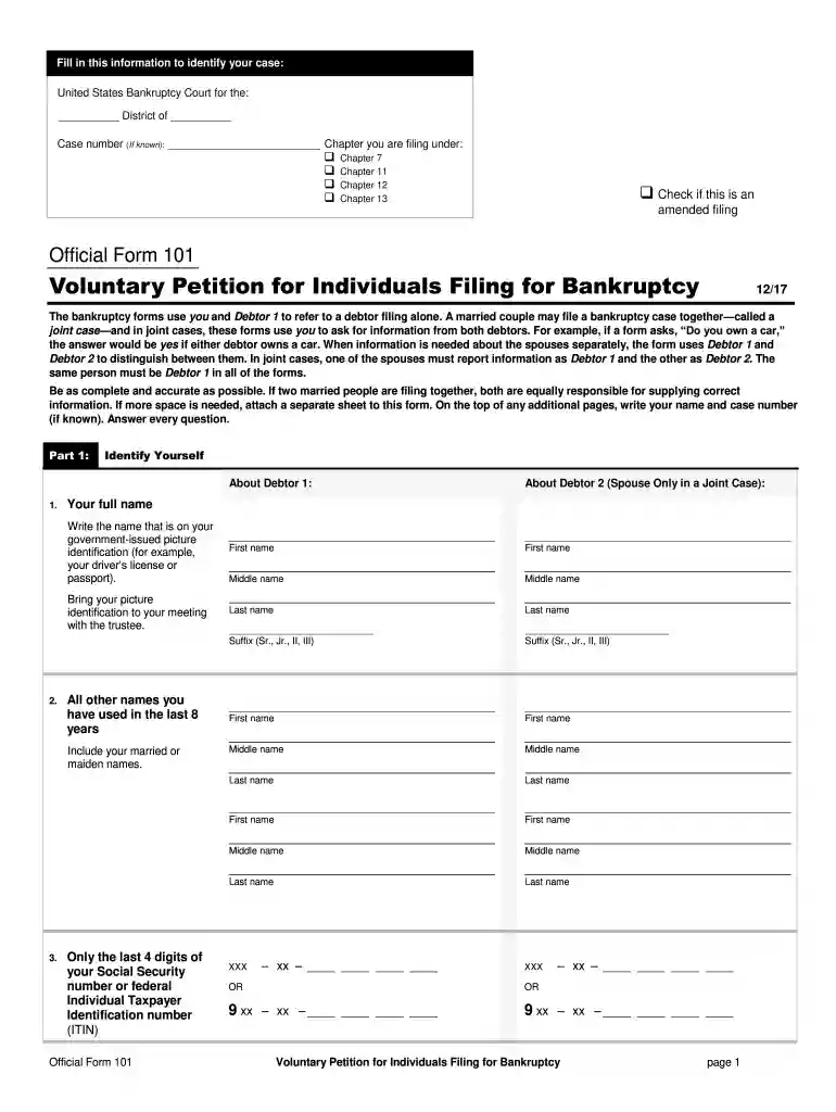 voluntary petition for individuals filing for bankruptcy Preview on Page 1