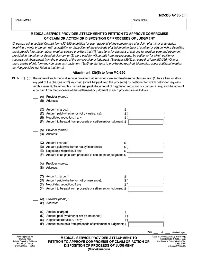 13b petition sample Preview on Page 1