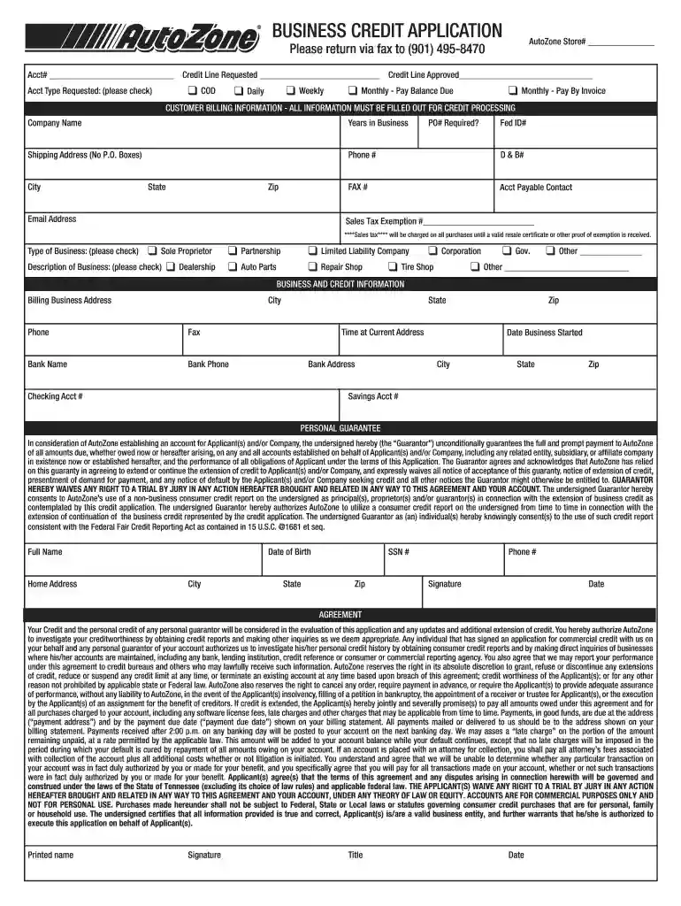 autozone credit card Preview on Page 1