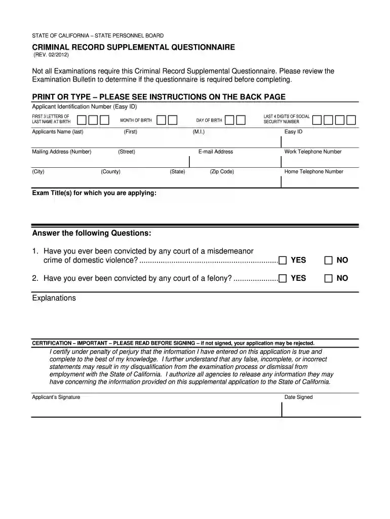 criminal record supplemental questionnaire Preview on Page 1