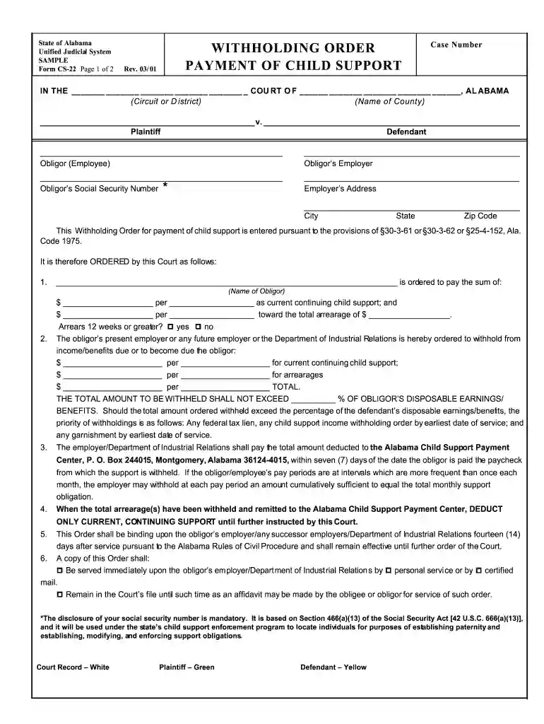 child support paper Preview on Page 1