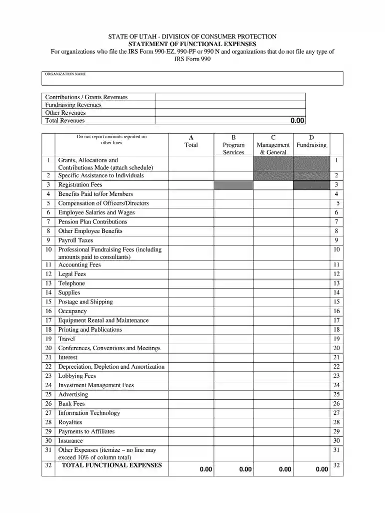 functional expense Preview on Page 1