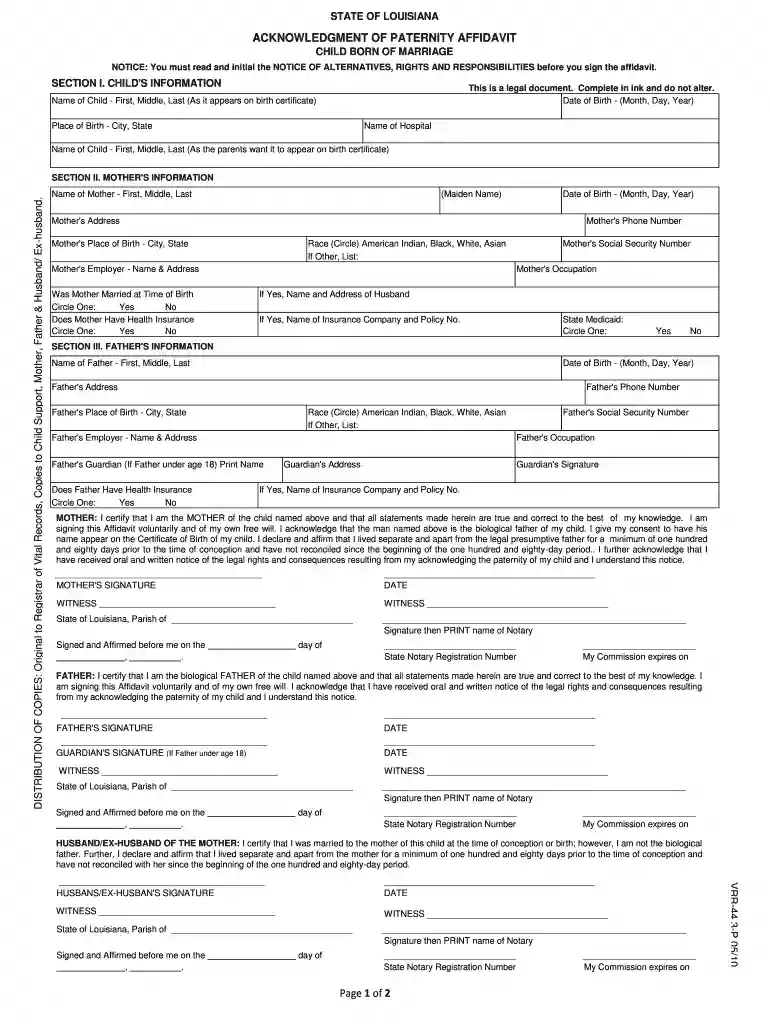 louisiana acknowledgement of paternity affidavit form Preview on Page 1