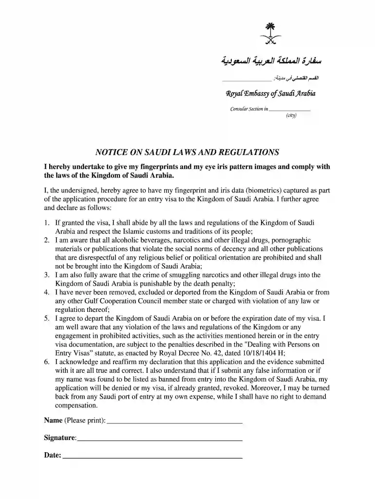 consulate general of saudi arabia mumbai visa application form pdf Preview on Page 1