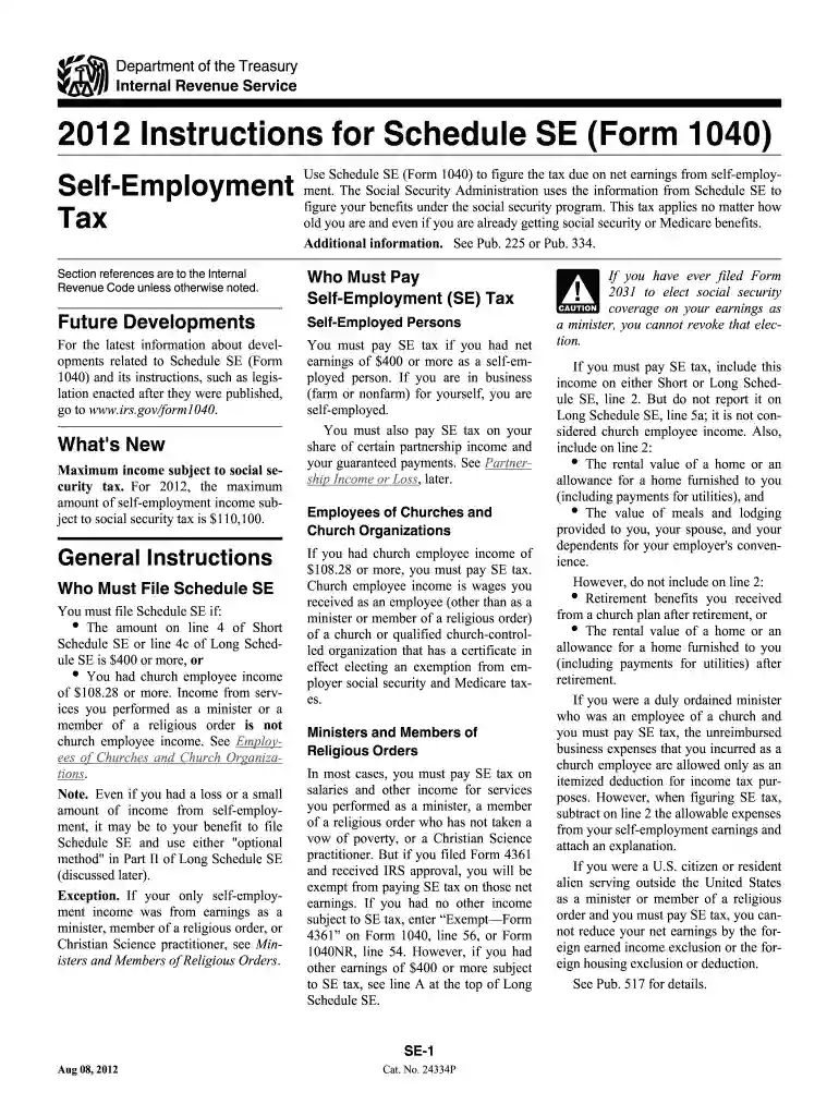 2012 se form Preview on Page 1