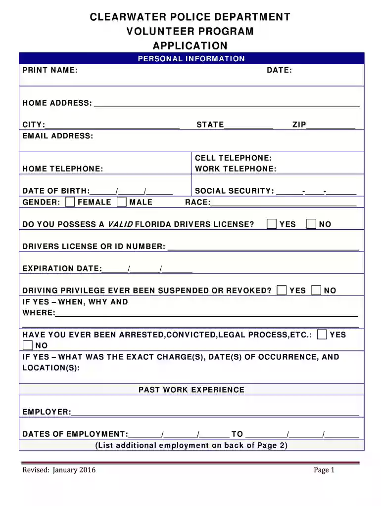 police information form Preview on Page 1