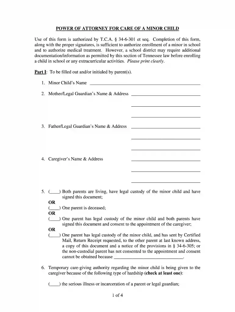 temporary guardianship tennessee Preview on Page 1