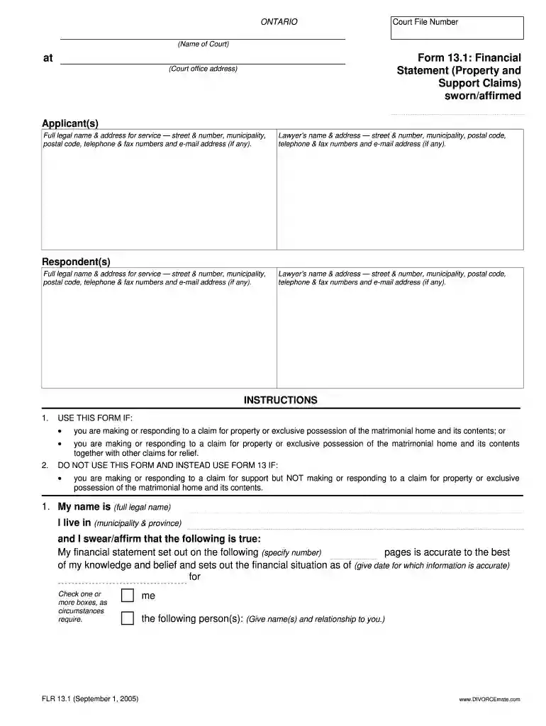 13 1 financial statement Preview on Page 1