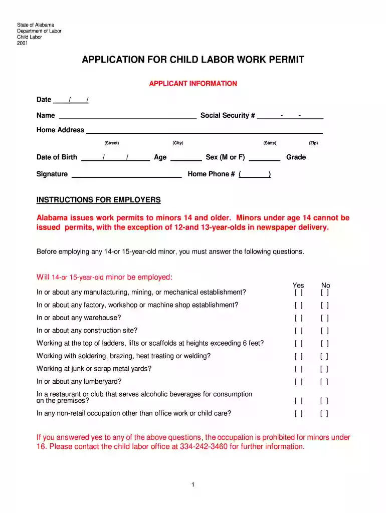 child labor form Preview on Page 1