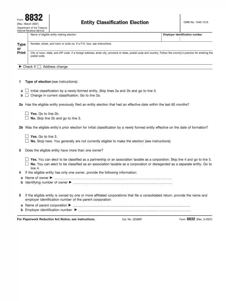 form 8832 rev march 2007 Preview on Page 1