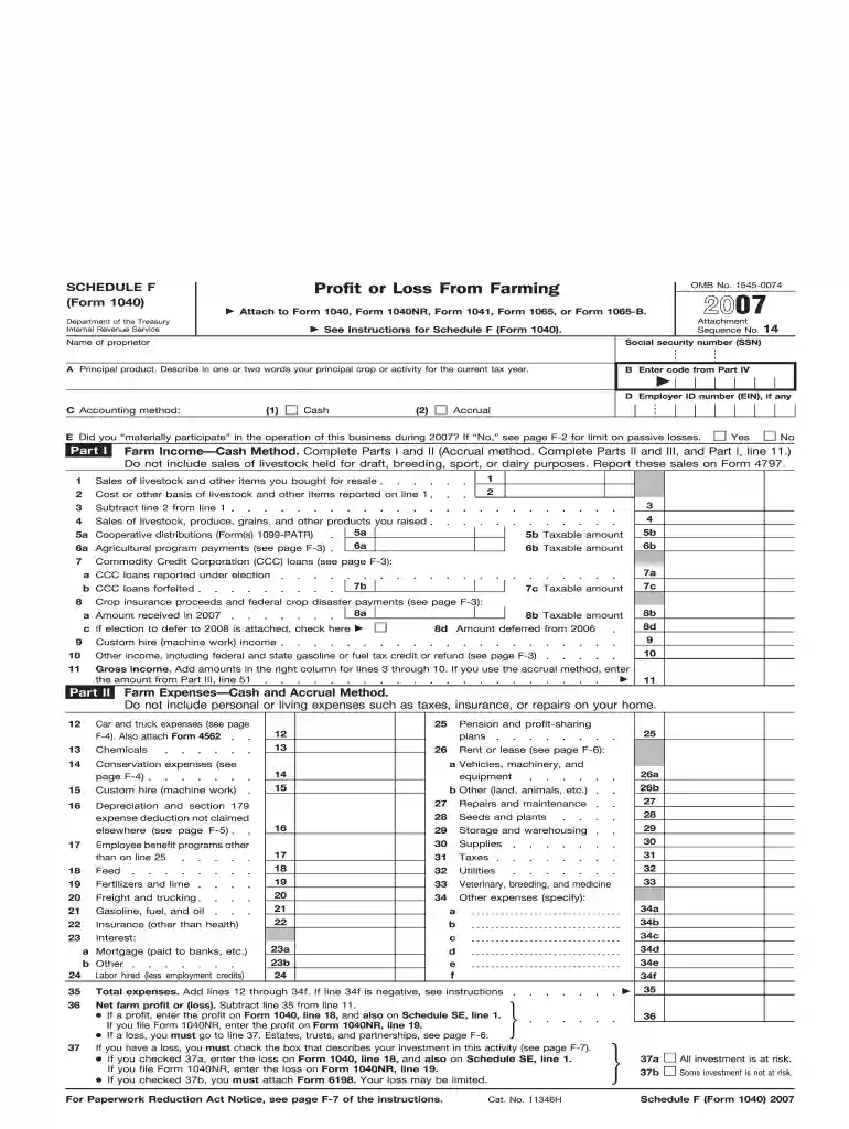 2007 f form Preview on Page 1