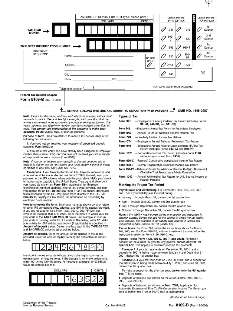 form 8109 Preview on Page 1