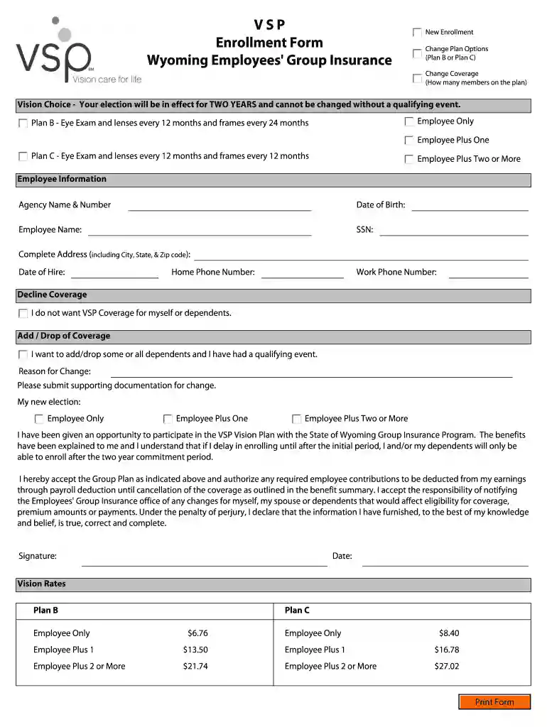 vsp form Preview on Page 1