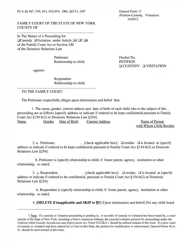 how to file for full custody in ny online Preview on Page 1