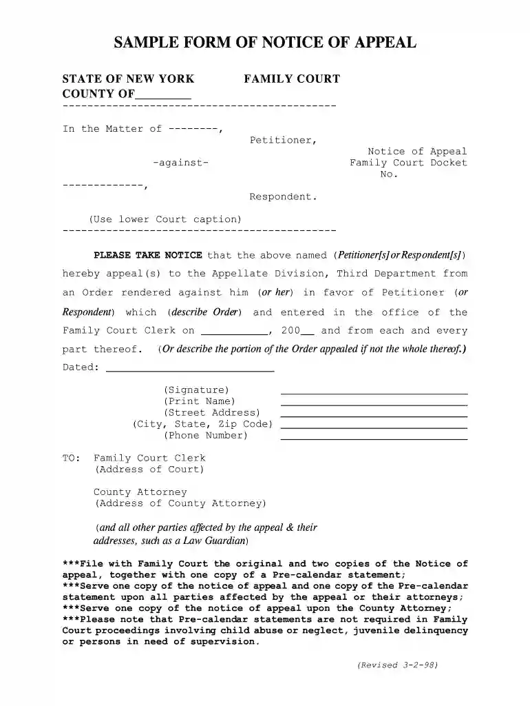notice of appeal example Preview on Page 1