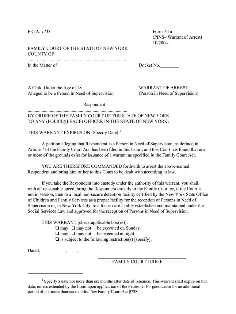 ny 1a 738 Preview on Page 1