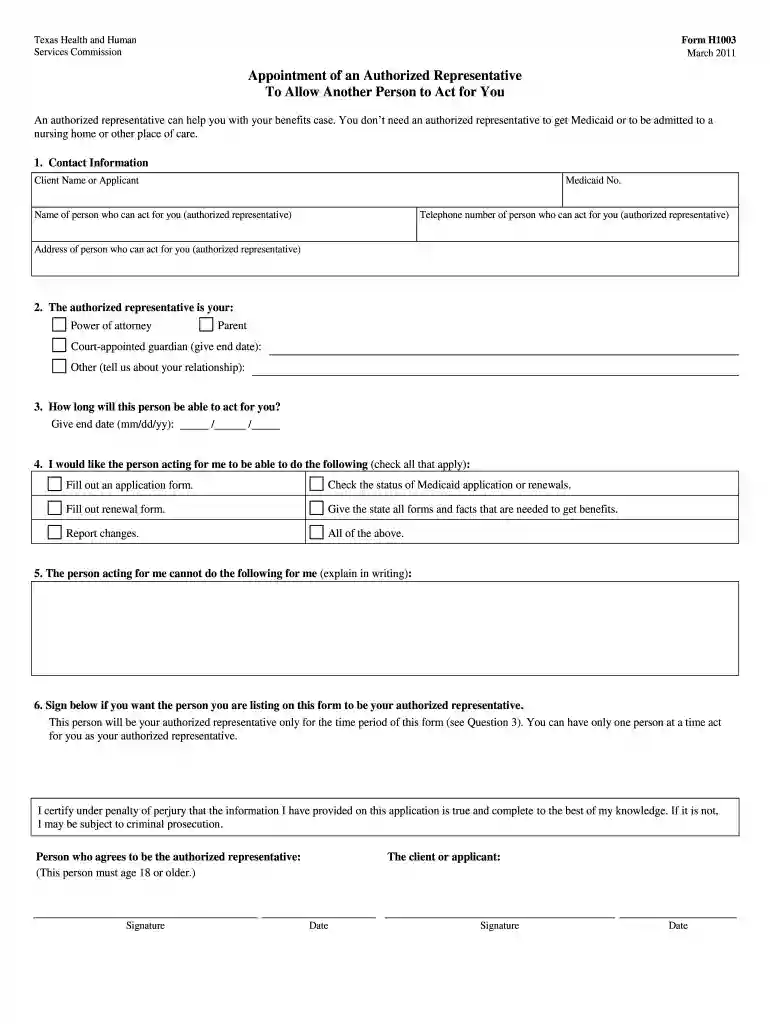 form h0003 Preview on Page 1