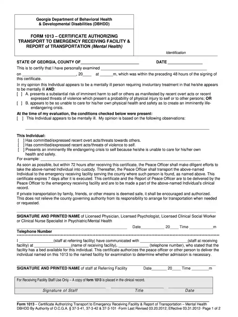 ga 1013 form pdf Preview on Page 1