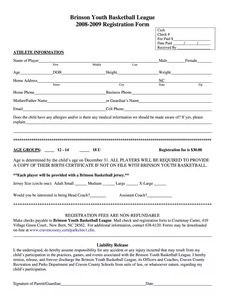 Brinson Youth Basketball League 2008-2009 Registration Form Preview on Page 1