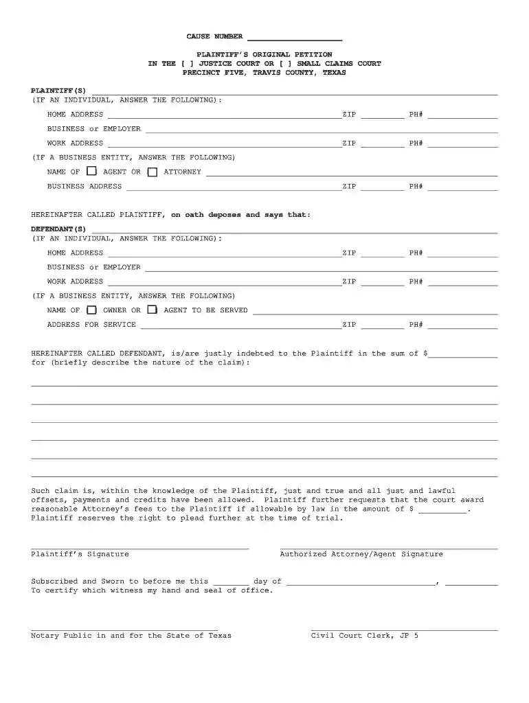 original petition sample Preview on Page 1