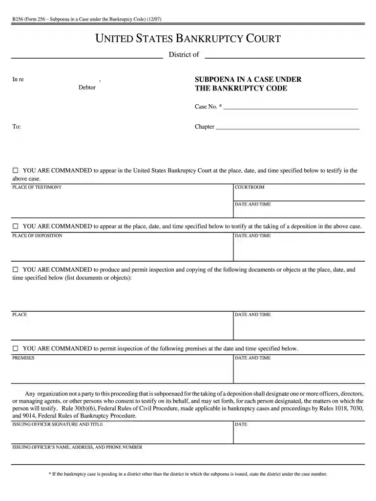 B256 form fillable 2007 Preview on Page 1