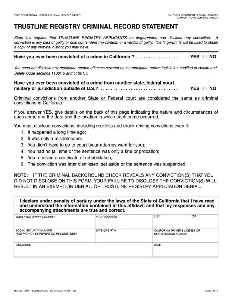 508 criminal record statement pdf Preview on Page 1