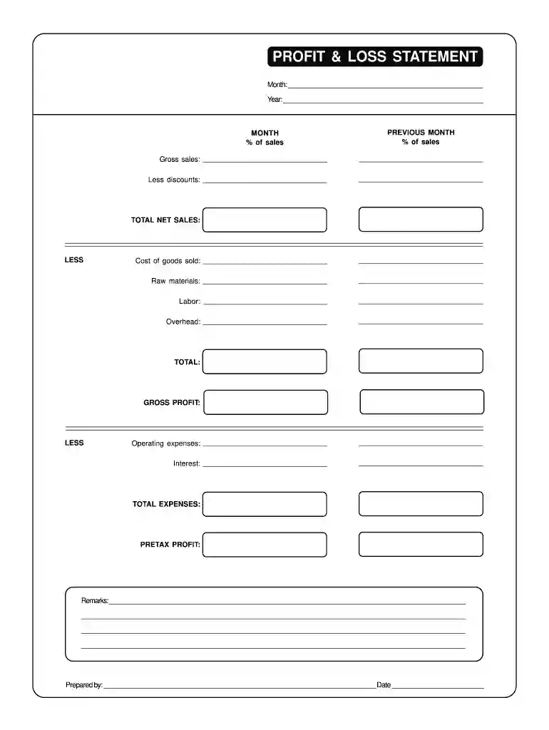 free blank profit and loss statement pdf Preview on Page 1