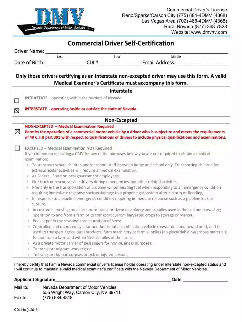 dmvnv com cdlcertify htm Preview on Page 1