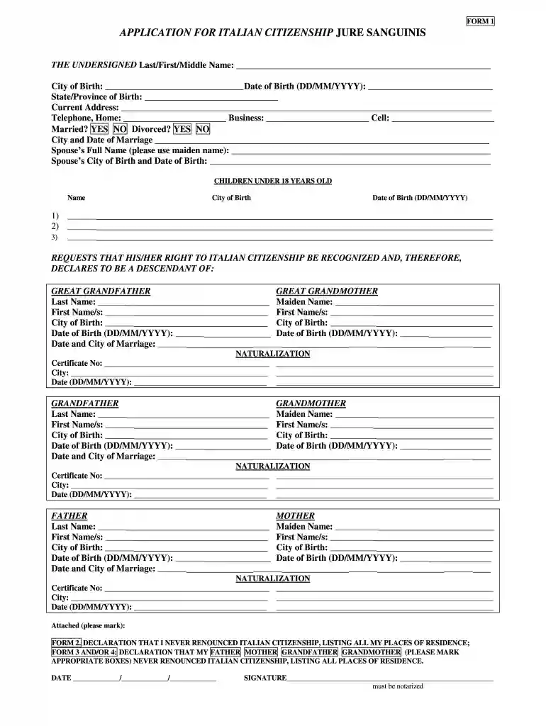 apply for italian citizenship online Preview on Page 1
