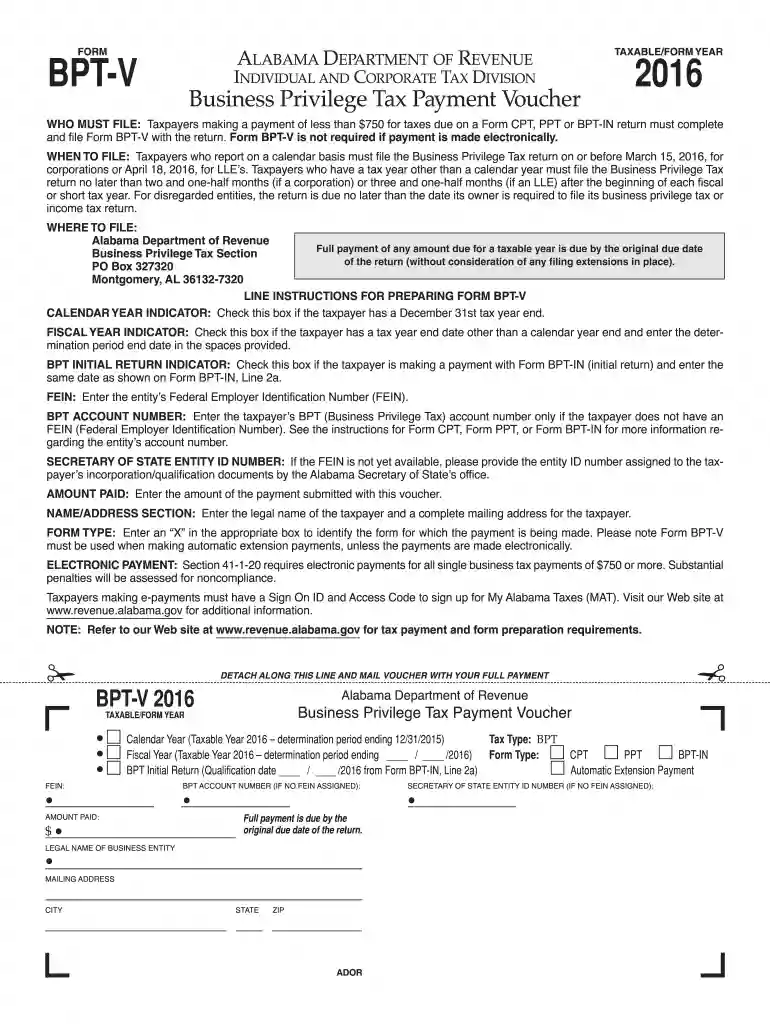 bpt v 2016-2019 form Preview on Page 1