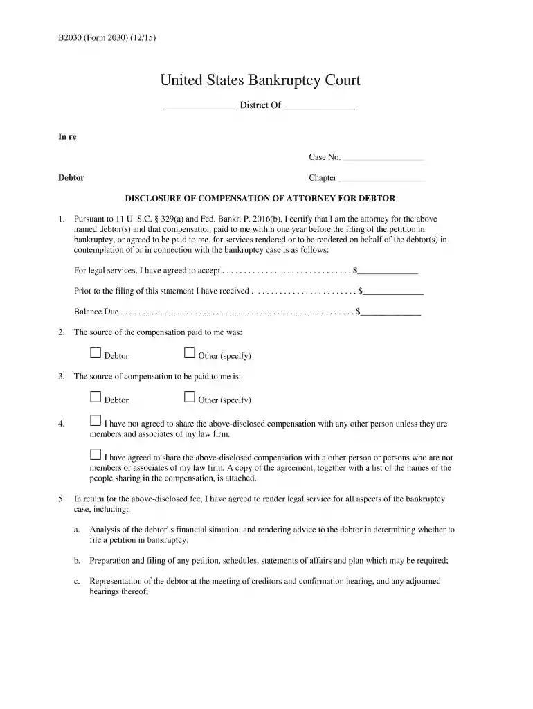 bankruptcy petition filing Preview on Page 1